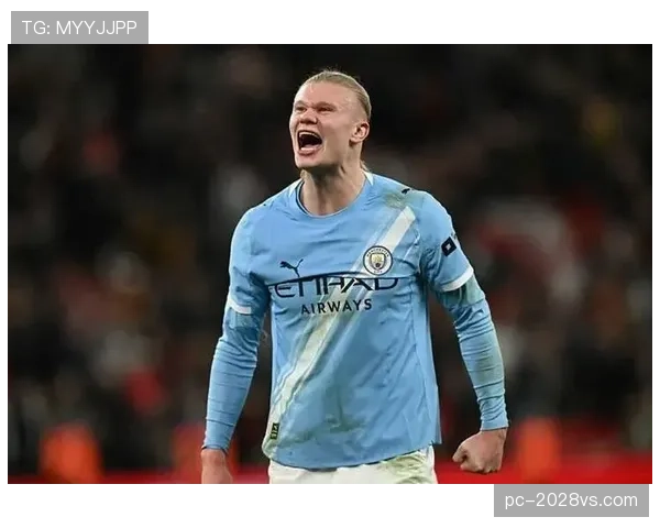 哈兰德英超单季36球的巅峰表现：效率、机制与上限解析