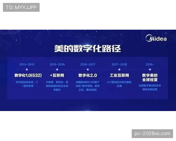 帕尔默的顶级球星之路：潜力兑现的关键瓶颈与成长路径