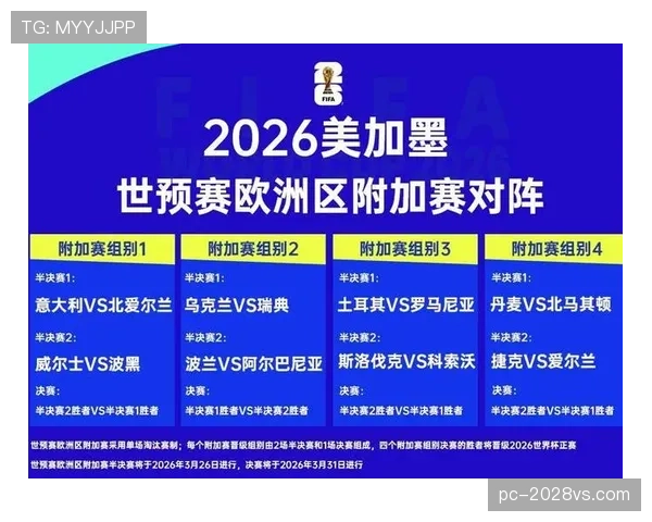 世界杯C组黑马球队成长轨迹